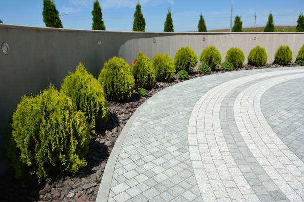 Reasons to Select Us for Your Driveway Paving Requirements in Greenacres, CA